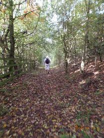 Hertford walk 58